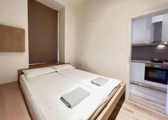 Downtown Deak-2Bedrooms Big Cozy Apartment