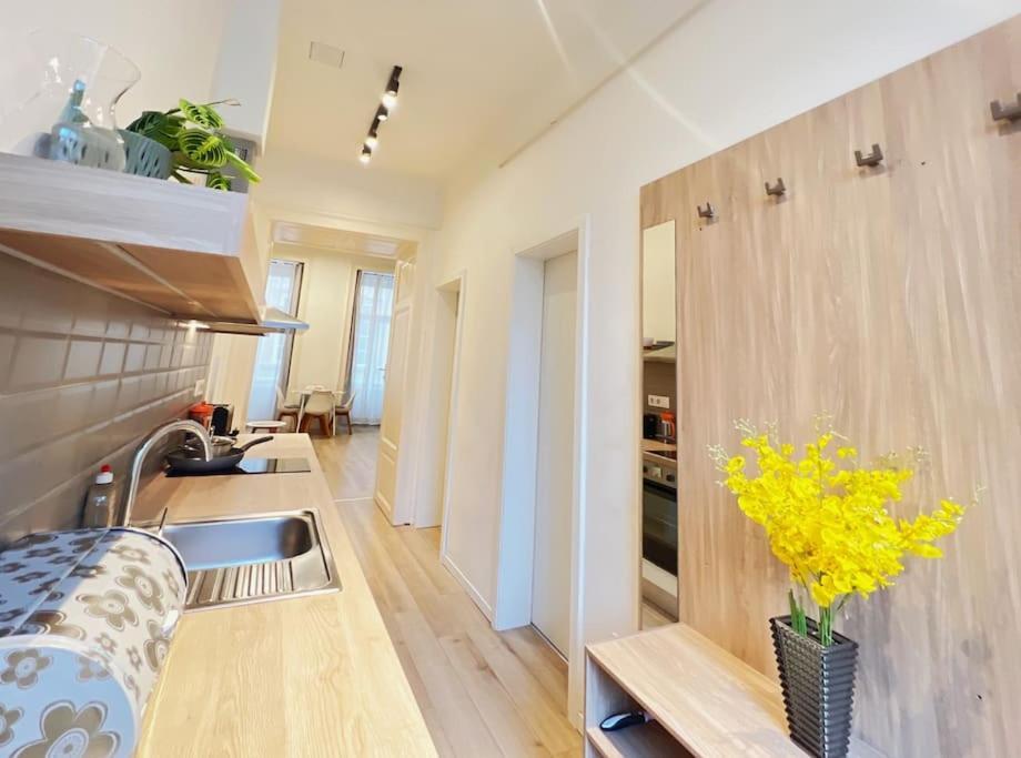 Downtown Deak-2bedrooms Big Cozy Budapeste